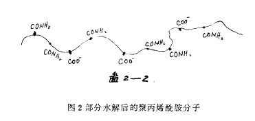詳細分析聚丙烯酰胺分子性質(zhì)