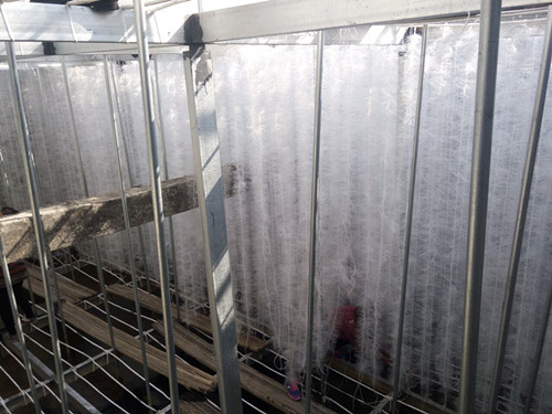 늳؏Sܛ�����ϰ��bʩ���F(xi��n)��(ch��ng)